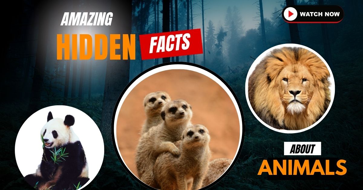 Animal Facts in Hindi